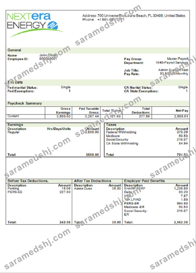 USA NextEra Energy electric company pay stub